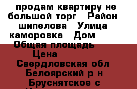 продам квартиру не большой торг › Район ­ шипелова › Улица ­ каморовка › Дом ­ 1/1 › Общая площадь ­ 45 › Цена ­ 500 000 - Свердловская обл., Белоярский р-н, Бруснятское с. Недвижимость » Квартиры продажа   . Свердловская обл.